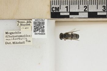 Media type: image;   Entomology 793804 Aspect: Labels